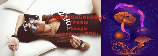 PSILOCYBIN Абаза