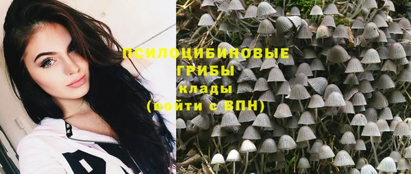 PSILOCYBIN Абаза