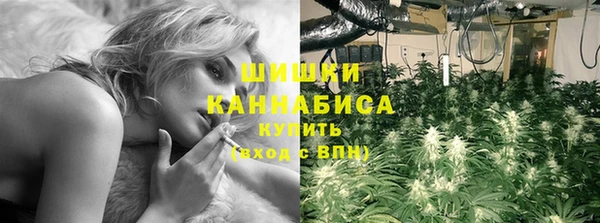 PSILOCYBIN Абаза