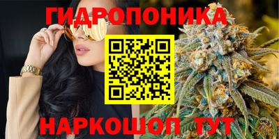 спиды Сланцы
