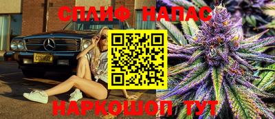 гашик Славянск-на-Кубани