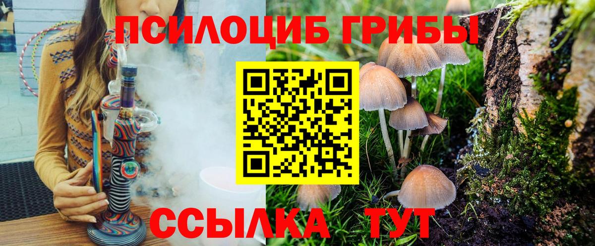 Галлюциногенные грибы Psilocybe Азов