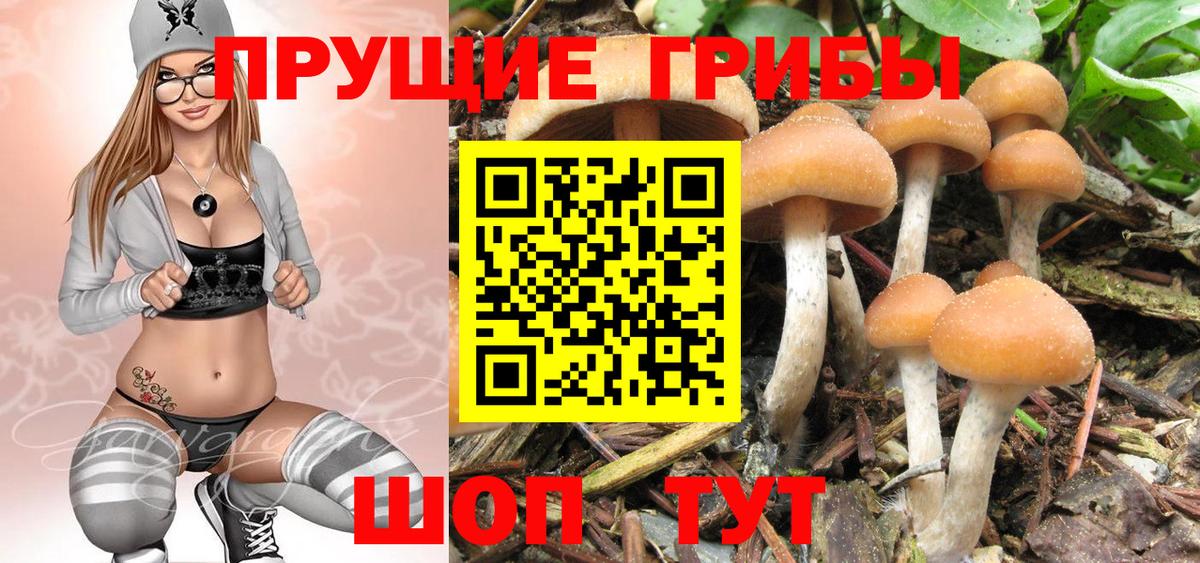 Галлюциногенные грибы Psilocybine cubensis  Вход с VPN  Азов 